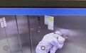 上海肿瘤医院电梯内员工强吻，主角是新冠确诊者？不实