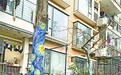 春夏秋景皆入画 80后宝妈用画笔让老旧小区换新颜