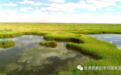 人与自然和谐相处 石羊河湿地公园扩绿增湿逾2万亩