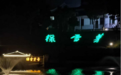 山海同观，初心印记——绿雪芽中的精品白茶