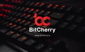 BitCherry和BCHC是什么关系？何为BitCherry分布式商业公链？