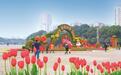 花团锦簇迎新春：​长沙县在城区布置园林景观营造春节氛围