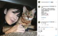 周慧敏再次痛失爱猫，发合照纪念其离世