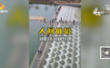 坝上水流中断、水泥裸露明显 浏阳“网红坝”遭游客质疑：太失望