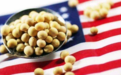 大豆、玉米单产不及美国六成 种源“卡脖子”技术攻关疾进