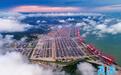 2025年宁波航运目标定了！五大攻坚行动破“大港小航”难题