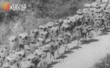 抗战时期珍贵影像：中国10万远征军赴缅甸作战