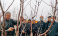 农技大咖现场“问诊”，为果树“整形”开良方