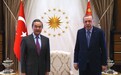 土耳其总统会见王毅：我公开接种 展示中国疫苗安全性和有效性