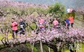 徜徉于花海，奉化“桃花马”浪漫赛道抢先体验