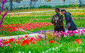 河北石家庄：“郁”到花香看见美