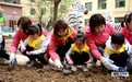 幼儿园秒变“开心农场”一群萌娃学种菜