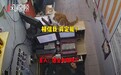 彩票店宠物猫脚踩出一张彩票后续，主人：没中大奖