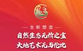 我叫甘南，这是我最牛的一份简历！