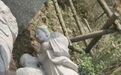 浙江一景区现女子给婆婆喂母乳雕塑引争议 官方：已拆除