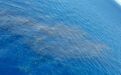 印尼潜艇失联位置附近海域发现泄露油料，艇上53人名单公布