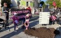 美国十多人白宫外举行抗议活动：手推粉色推车 装满牛粪