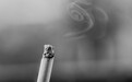 研究警告：同时吸食香烟和电子烟是一个坏主意