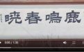 奋斗百年路 启航新征程 同心奔小康丨“杨姐”家的致富“鹿”