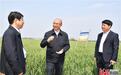 许勤：扎实做好地下水超采综合治理、农业产业化等工作