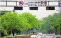 杭州浙A区域号牌错峰出行2个月提醒期结束 5月6日开罚