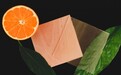 柑橘衍生物能让透明木材实现100%可再生