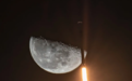 SpaceX接受狗狗币支付 用它在明年发射月球卫星