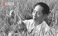 中国“杂交水稻之父”袁隆平：我游泳是一流的，就算逃学也要去