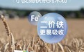 宝宝的第一口小皮米粉吃那种？儿科博士亲自来指导