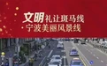 火了！宁波这个路口开启“过马路慢直播”，超十万人围观！