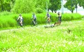 不能忘记的日子
