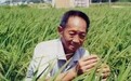 发布侮辱袁隆平院士的视频，西安一男子被采取刑事强制措施