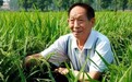 农业救国 袁隆平院士的丰功伟绩与日月同辉
