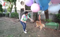 印度网红为涨粉将博美犬绑上气球飞天，升空瞬间大叫欢呼