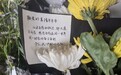 为何袁隆平逝世受到公众自发、遍及全互联网的告别 胡锡进：有三点原因