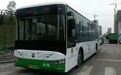 我为群众办实事|Z161路公交车全线换新车！为春城街头再添一道流动风景线