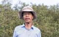 世界环境日｜助力生物多样性保护 红树林生态系统保护和修复启动