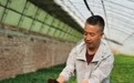 土蛋蛋变身金疙瘩 “薯”光洒满定西农民致富路