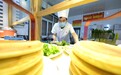 河北邢台：传承百年的美食