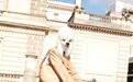 STELLA McCARTNEY 发布2021秋季系列概念大片
