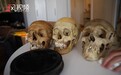 吃人的印度人骨交易：死人比活人更值钱