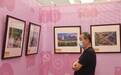 重温百年奋斗征程，展现家乡发展之变 庆祝建党100周年书画摄影展在北仑开展