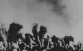 海南党史大事（三）| 夺取琼崖抗日战争的胜利