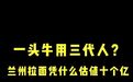 【国民级IP #兰州拉面引发投资风潮#】2021...