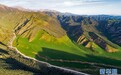 【大美甘肃】盛夏祁连山风光旖旎