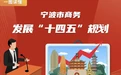 一图读懂 | 宁波商务发展“十四五”规划