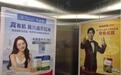 郎朗吉娜代言不同品牌奶粉，网友：他家孩子到底喝哪个？