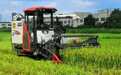 争分夺秒！宁波20.86万亩早稻完成抢收，进度超八成