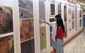  “翰墨飘香”书画展在吉林省图书馆开展