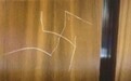 美国国务院大楼电梯内出现纳粹标志 国务卿回应